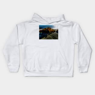 The Seaweed at Dawn Kids Hoodie